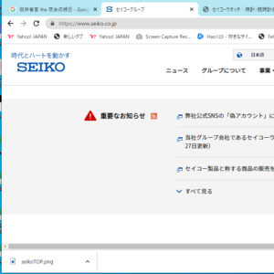 seiko公式サイト(セイコーグループコーポレートサイト)について - 闘志の脱力 webサイト100選